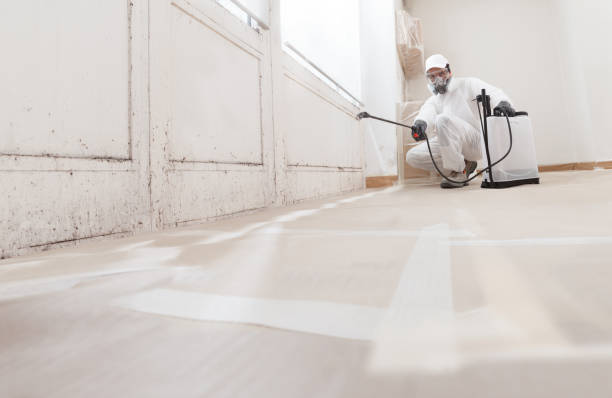 24/7 Emergency Mold Remediation experts in Deer Park, WA