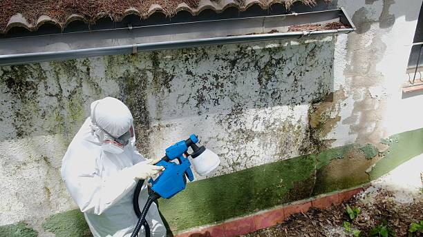 Top rated local Mold Remediation specialists in Deer Park, WA